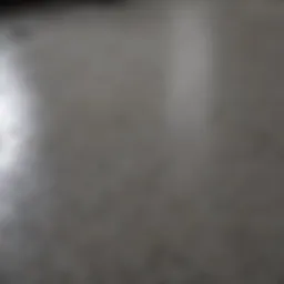 Close-up view of Behr concrete floor paint texture