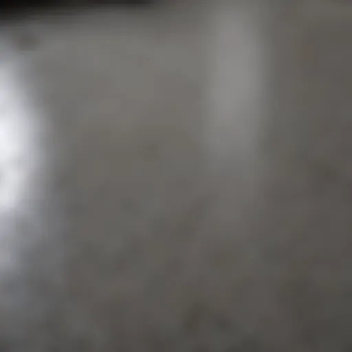Close-up view of Behr concrete floor paint texture