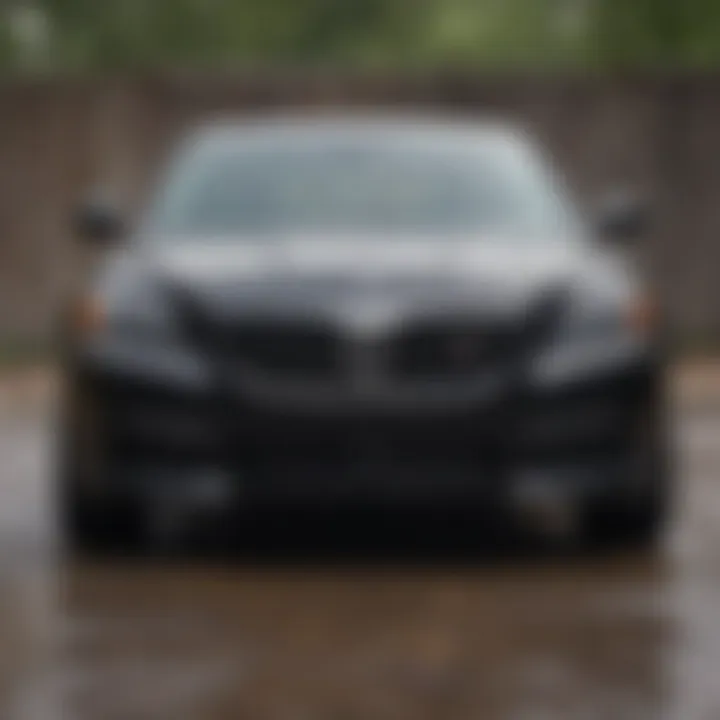 Foamy suds from Chemical Guys Black Car Soap during application