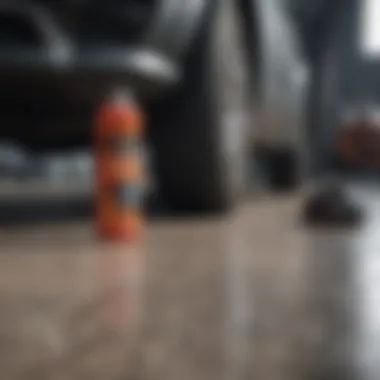 Tools and equipment lined up for car carpet cleaning