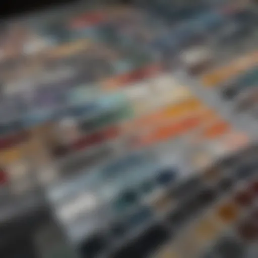 Close-up of All State Paint swatches showcasing color variety