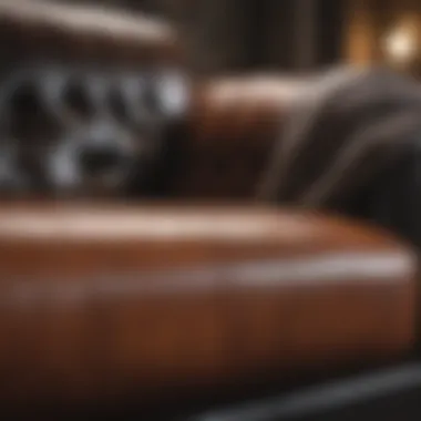 Effective Cleaning Technique for Leather Sofas Close-up of a leather sofa being cleaned with a gentle solution.