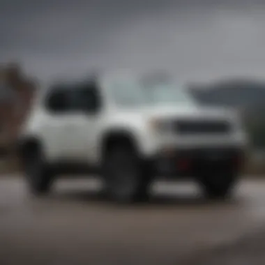 Evaluating the Value of the 2016 Jeep Renegade Summary Evaluating the Value of the 2016 Jeep Renegade Summary