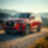 A collection of popular used SUVs