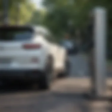 Electric side-by-side vehicle charging station