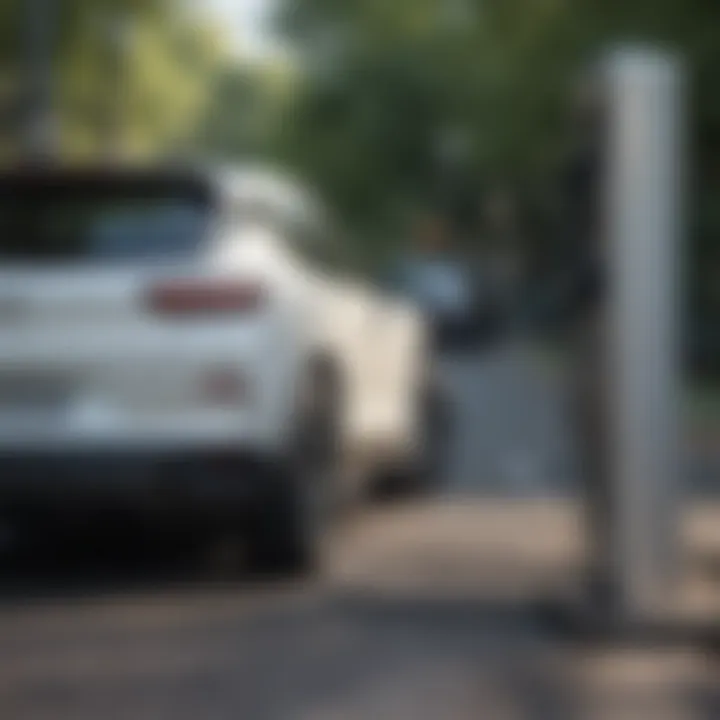 Electric side-by-side vehicle charging station