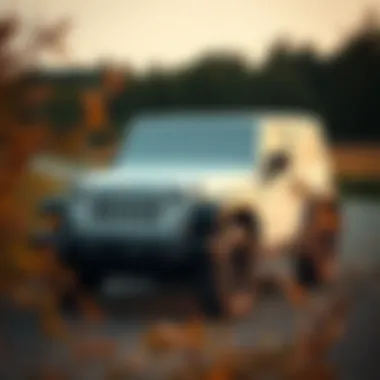 Stylish soft cover on a Jeep Wrangler