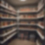 Organized pantry showcasing various storage solutions