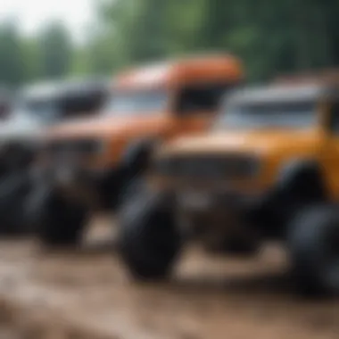 Diverse Selection of RC Trucks An array of RC trucks lined up, showcasing different styles and features