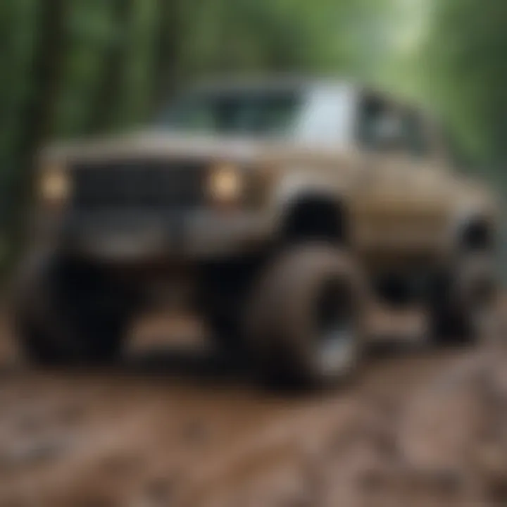 A well-maintained RC truck ready for a mudding adventure