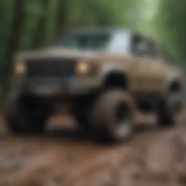 Ready for Mud: A Well-Maintained RC Truck A well-maintained RC truck ready for a mudding adventure