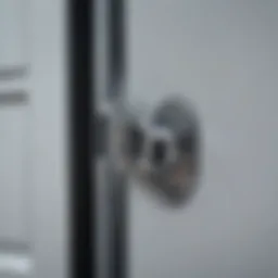 Close-up of a car door lock mechanism