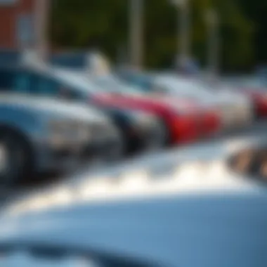 Diverse selection of off-brand rental cars lined up