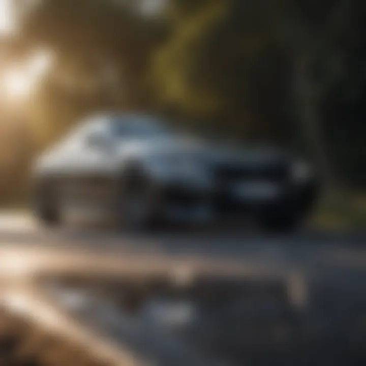 A BMW parked in a scenic location, displaying a professionally wrapped exterior
