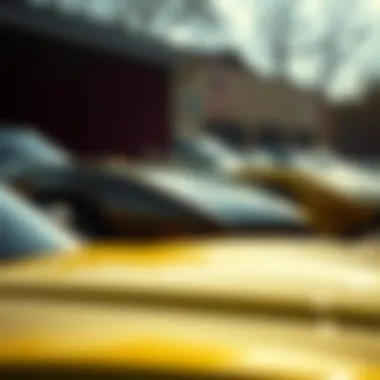 Diverse Models of the 1973 Corvette Comparison of different 1973 Corvette models highlighting their features