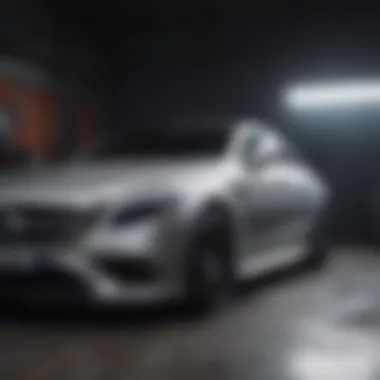 Maintenance routine for a Mercedes CLS car cover