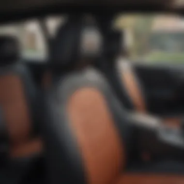 Styles of Seat Shield Covers for Every Vehicle Comparison of different styles of seat shield seat covers tailored for various automotive interiors.
