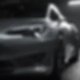 Tesla touch up paint pen in action
