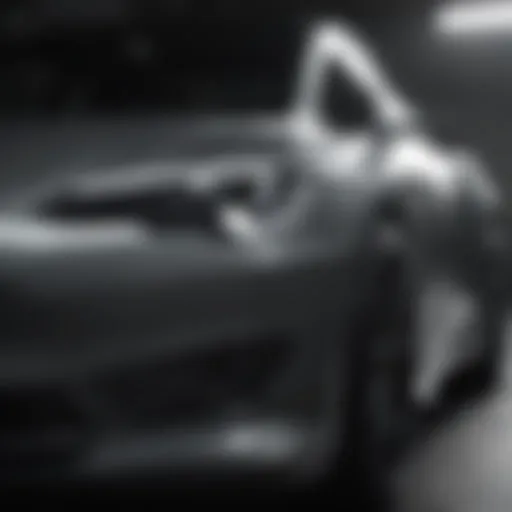 Tesla touch up paint pen in action