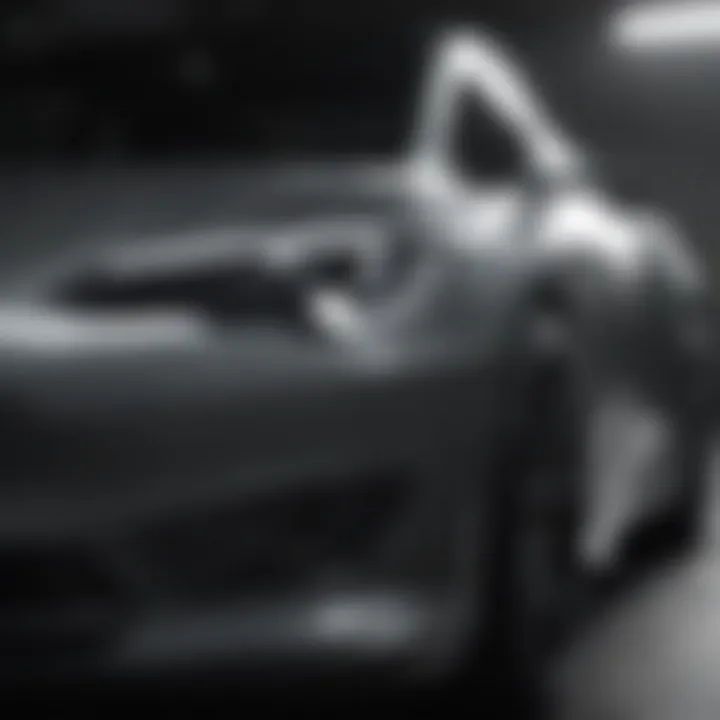 Tesla touch up paint pen in action