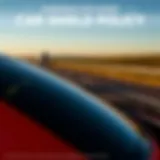 Detailed infographic on car shield policy costs