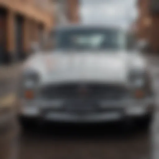 Wool polishing bonnet on a vehicle surface