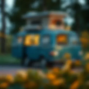 Customizations available for the Ve Bus Camper reflecting personal style
